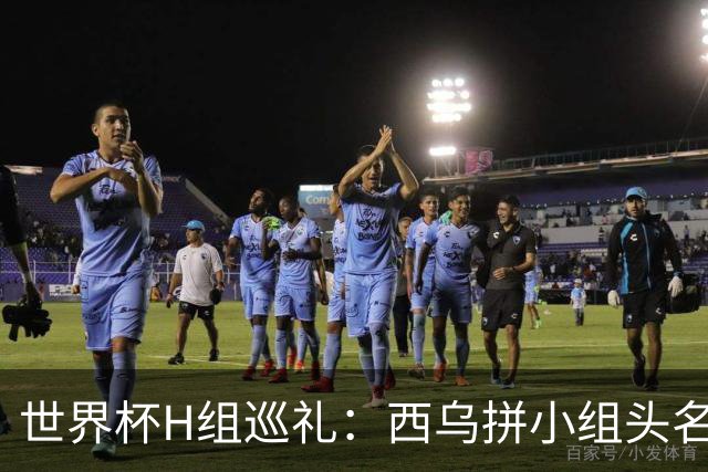 世界杯H组巡礼：西乌拼小组头名 沙特成X因素