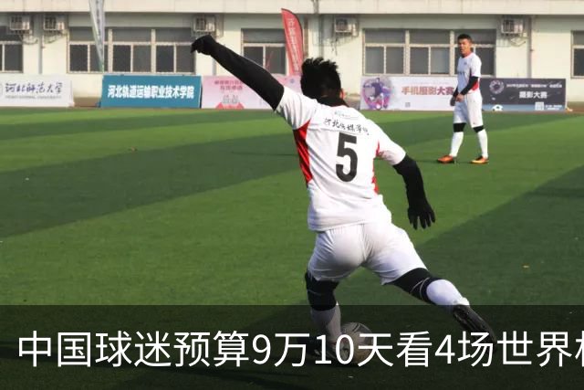 中国球迷预算9万10天看4场世界杯：为了见梅西和C罗，只好拼了