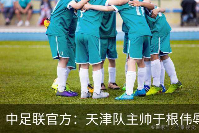 中足联官方：天津队主帅于根伟辱骂裁判 停赛5场罚款5万