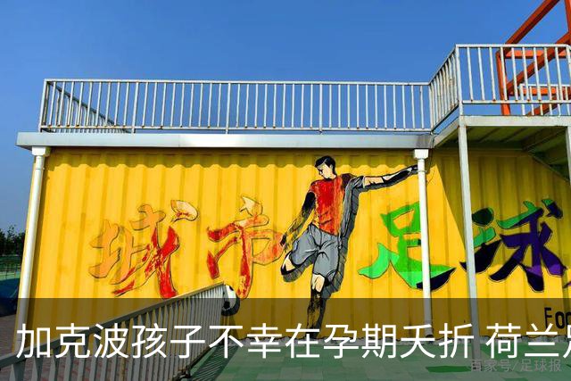 加克波孩子不幸在孕期夭折 荷兰足协：球员愿留队征战