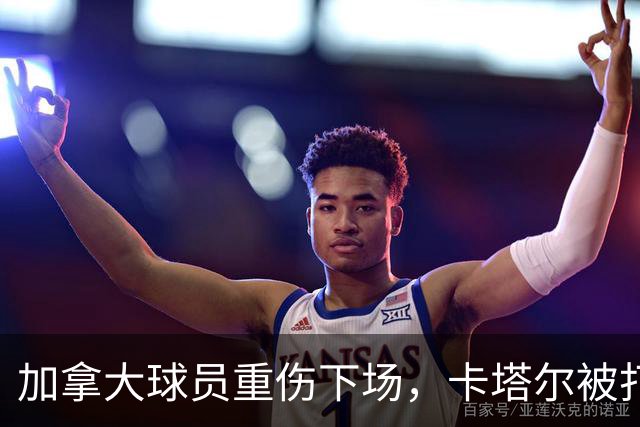 加拿大球员重伤下场，卡塔尔被打爆，“输球又输人”